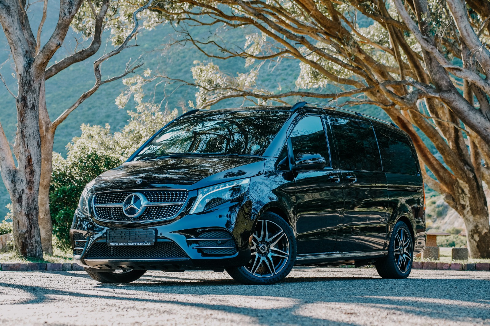 Black Mercedes-Benz V-Class front profile beneath mature trees